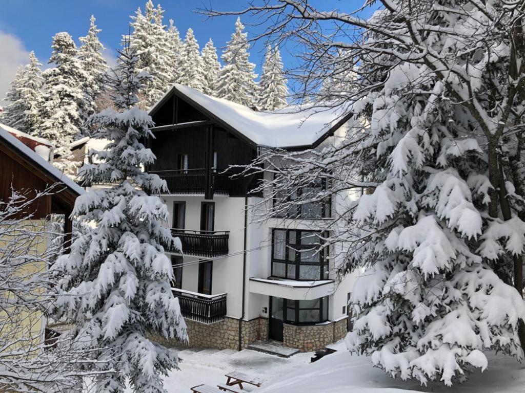 Montana Residence Poiana Brasov Eksteriør billede
