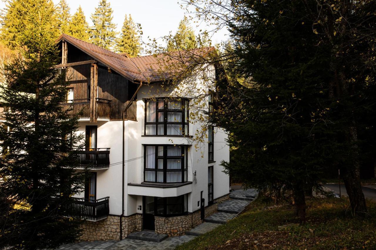 Montana Residence Poiana Brasov Eksteriør billede